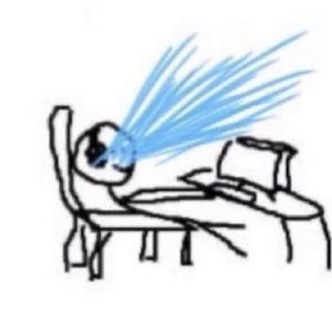 Meet your Posher, Lily